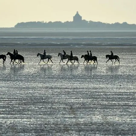 Haus Hohe Geest Hg11 شقة